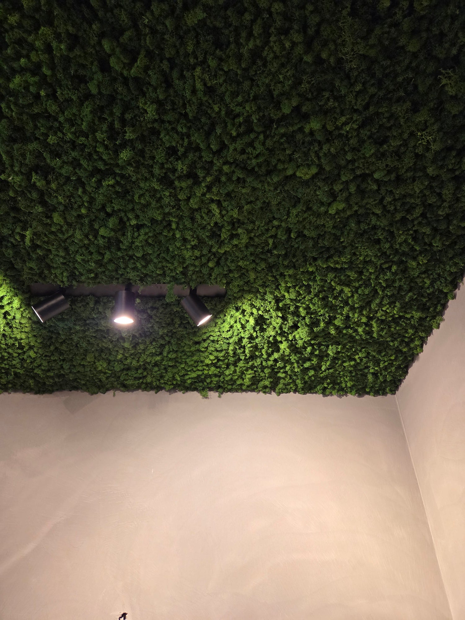 Premium preserved reindeer moss - light green 0.5 x 3m self adhesive panel