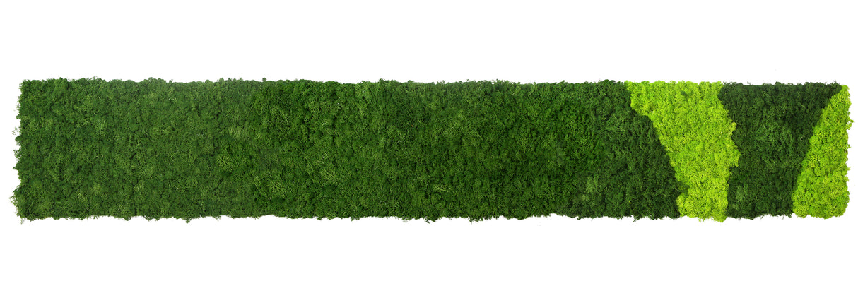 Preserved reindeer moss panel - patterned light green and forest green 0.5 x 3m self adhesive back