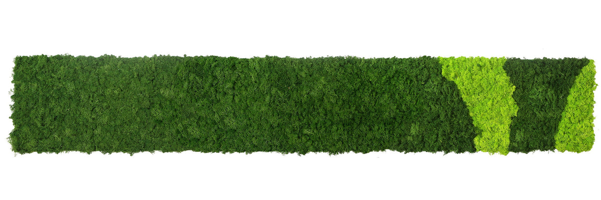Preserved reindeer moss panel, patterned light and forest green self-adhesive strip