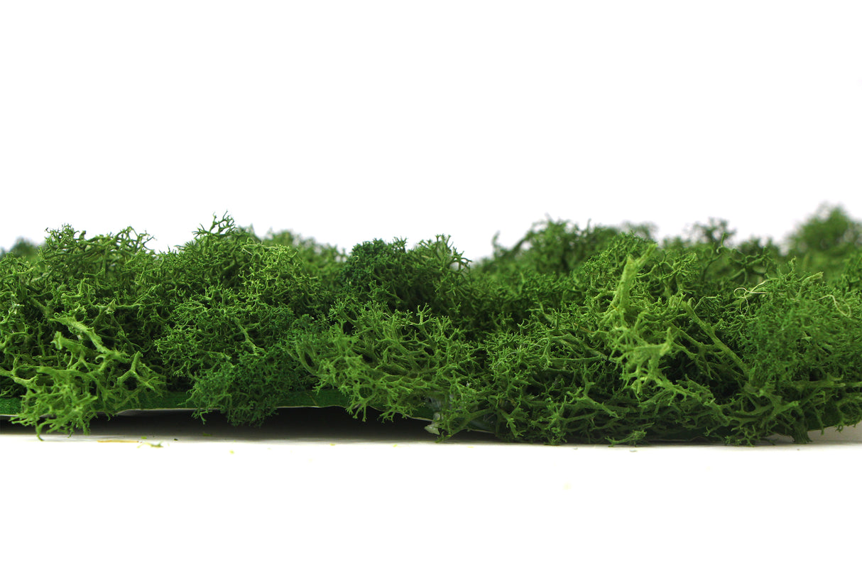 Preserved reindeer moss wall - forest green 0.5 x 2.15m self adhesive back
