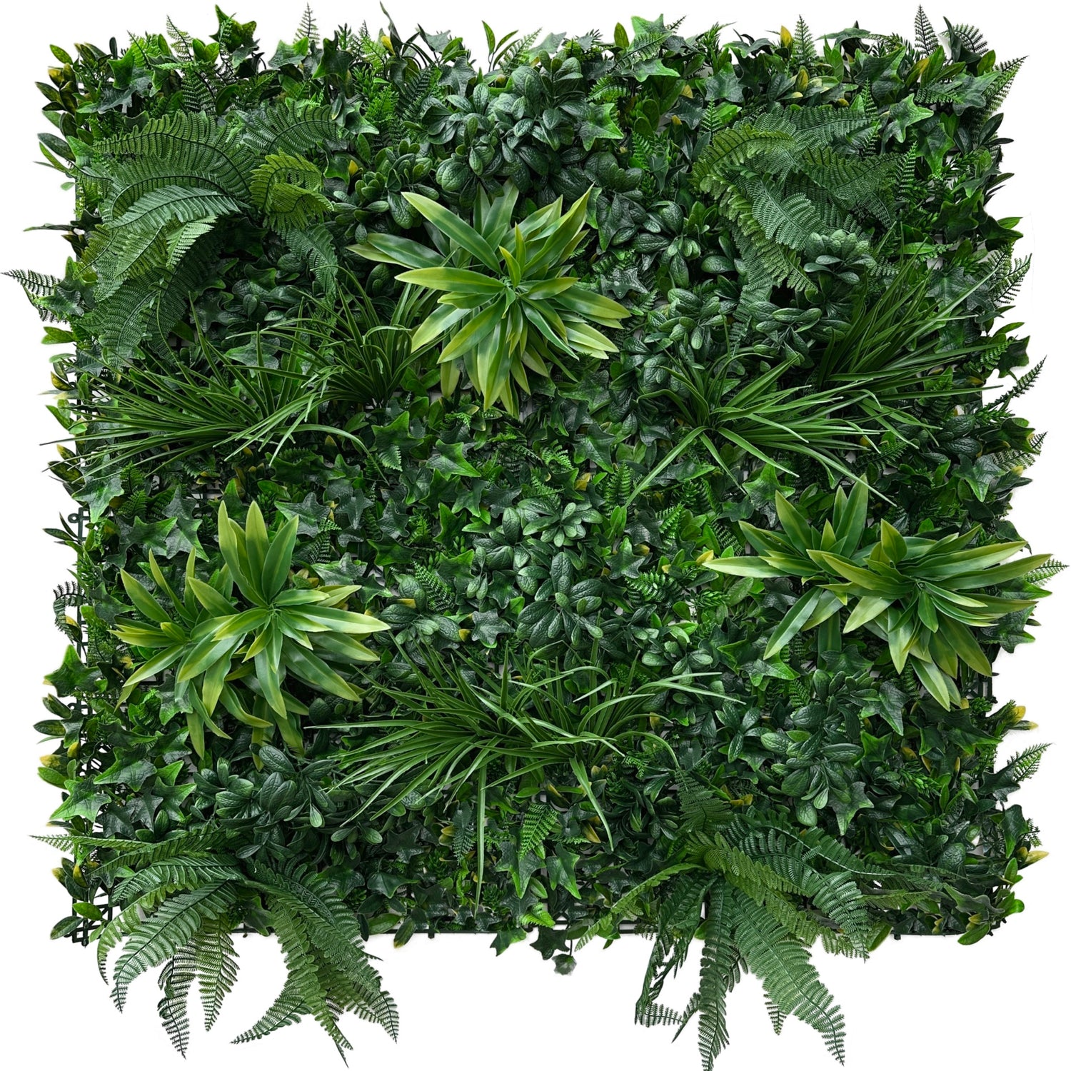 Artificial green wall panel with variegated foliage ivy palms grasses and ferns 100x100 cm