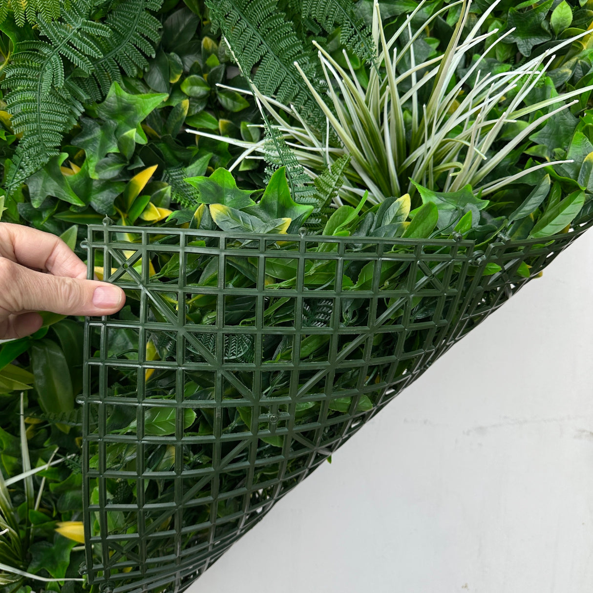 Artificial green wall panel with variegated foliage ivy palms white tipped grasses and ferns 100x100 cm