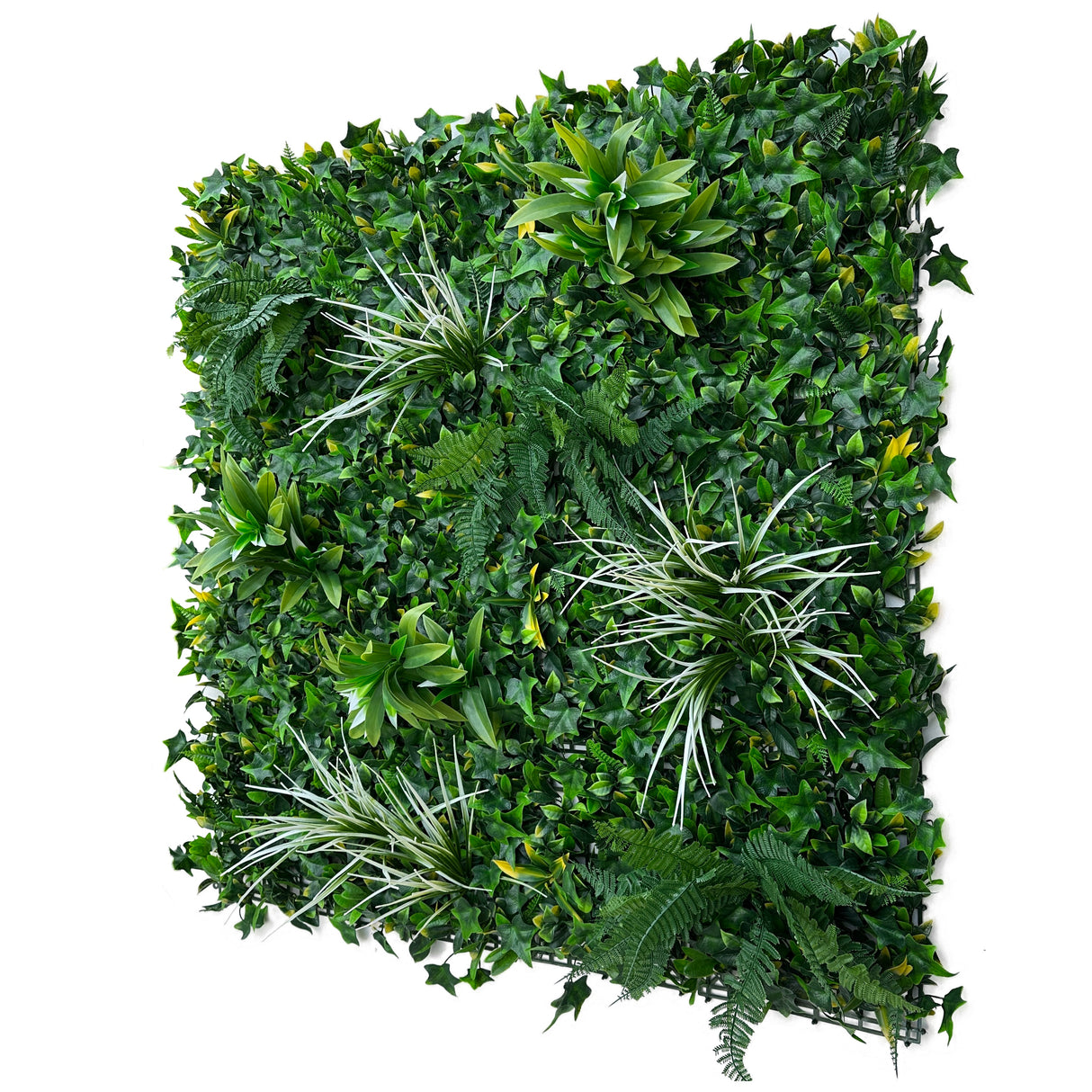 Artificial green wall panel with variegated foliage ivy palms white tipped grasses and ferns 100x100 cm
