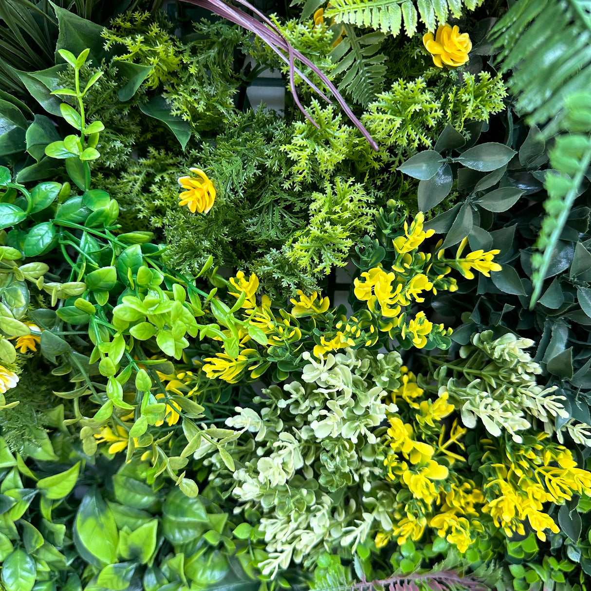 Combo of 3 x 1m2 artificial green wall panel with variegated mixed green red white yellow foliage