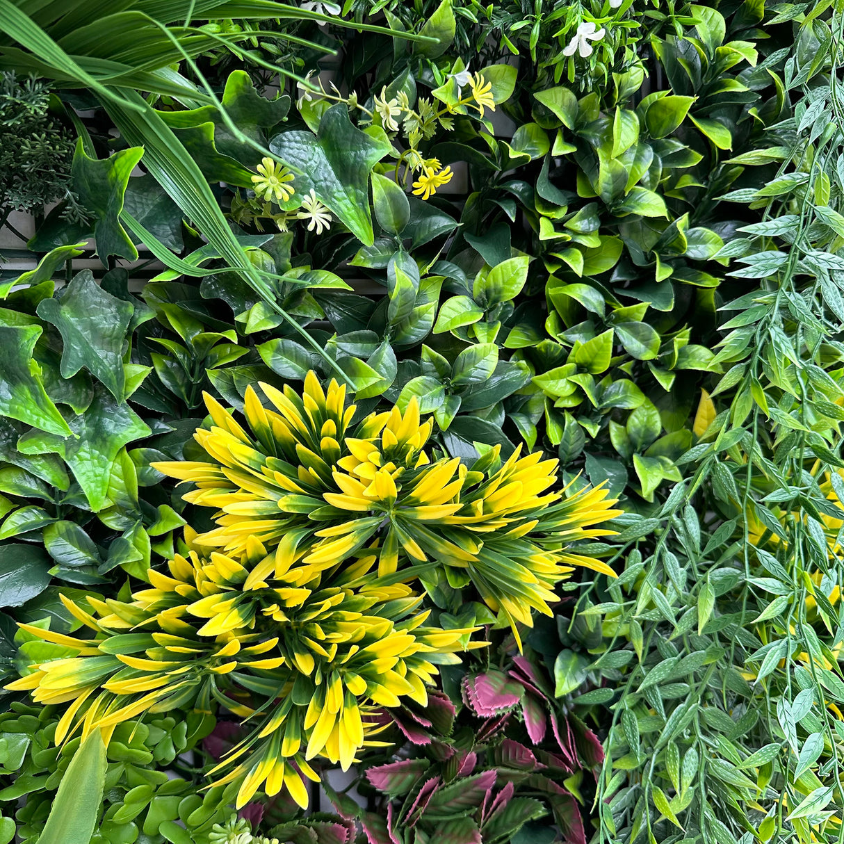 Combo of 3 x 1m2 artificial green wall panels with variegated mixed green red white yellow orange foliage