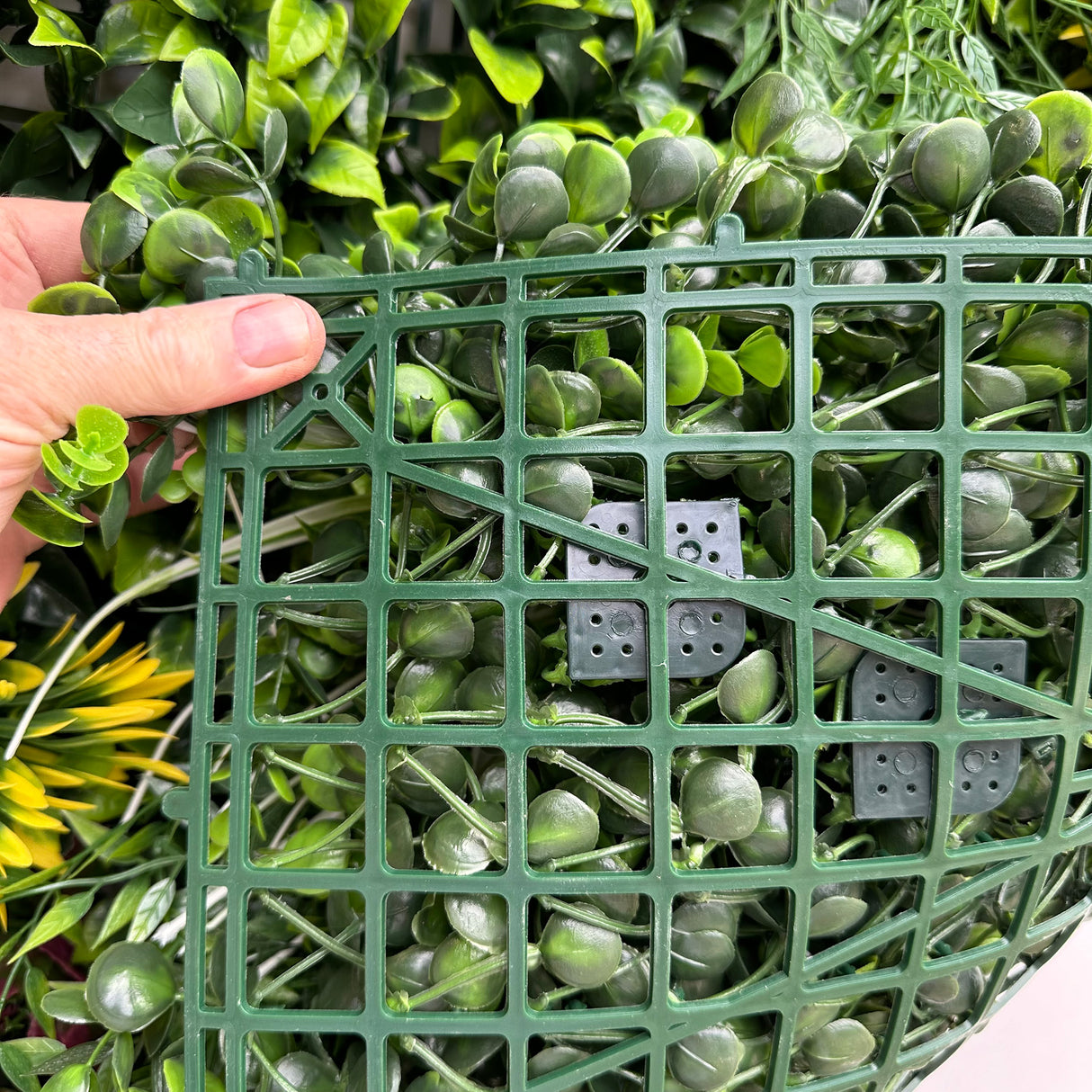 Combo of 3 x 1m2 artificial green wall panels with variegated mixed green red white yellow orange foliage