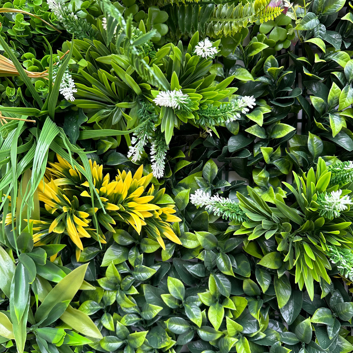 Combo of 3 x 1m2 artificial green wall panels with variegated mixed green red white yellow orange foliage