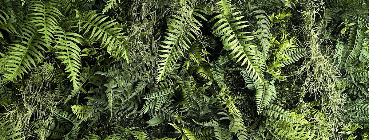 Looking for artificial green walls?