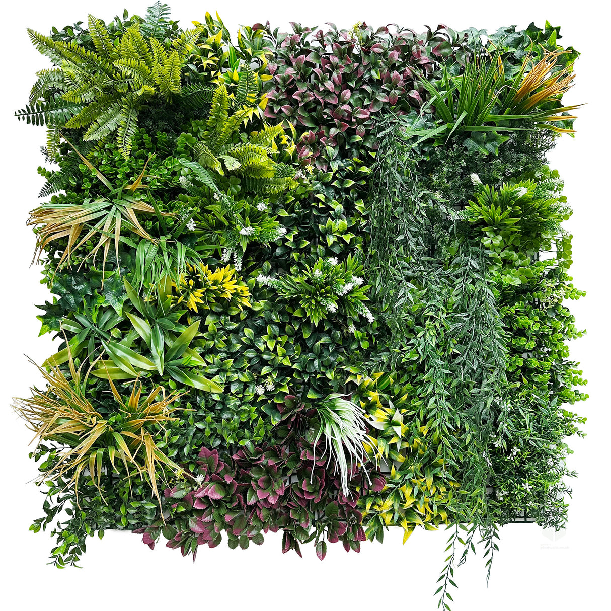 Combo of 3 x 1m2 artificial green wall panels with variegated mixed green red white yellow orange foliage