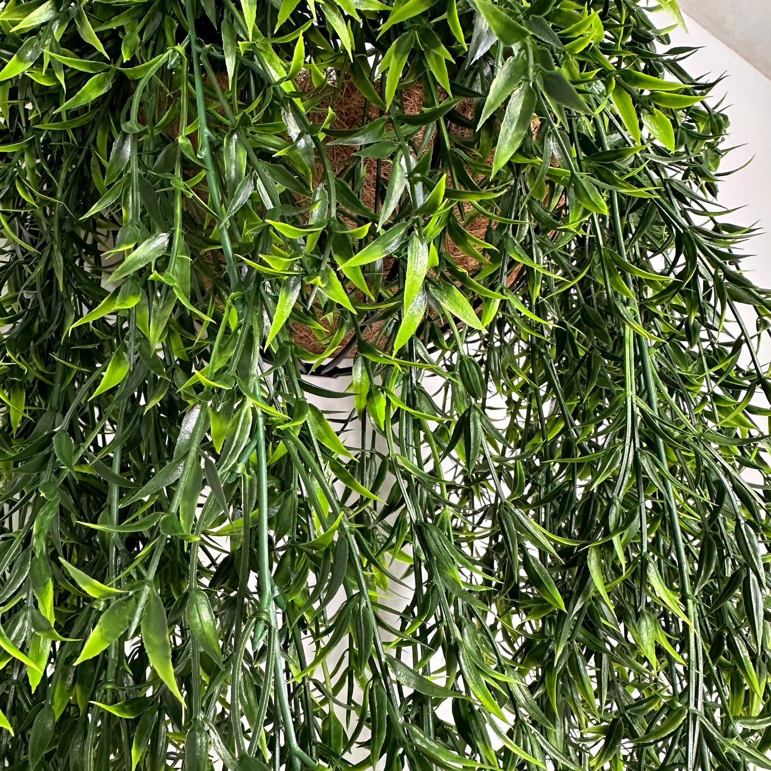 Artificial trailing ruscus in basket 120cm