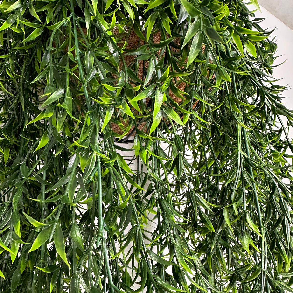 Artificial trailing ruscus foliage with long dark green trailing leaves in basket