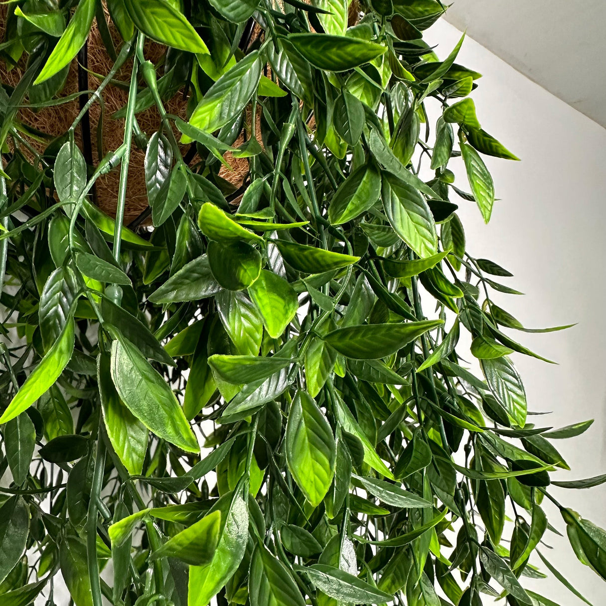 Artificial trailing bayberry plant close-up of glossy green leaves and stems