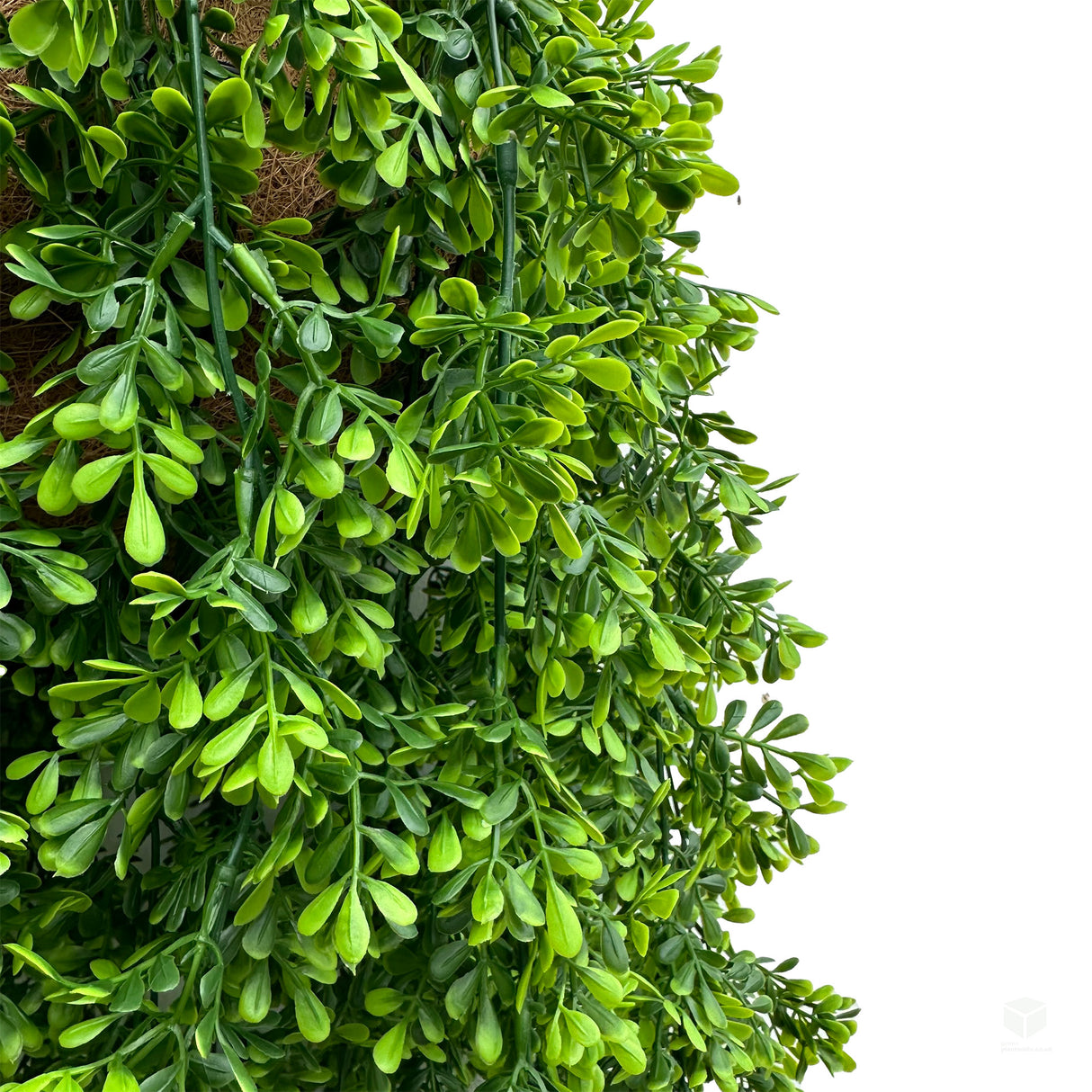 Package of 1 x bayberry and 1 x rue plant artificial hanging baskets