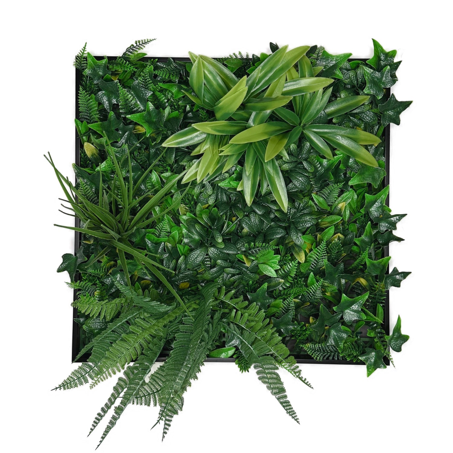 Artificial green foliage wall square art panel black aluminium - 50cm
