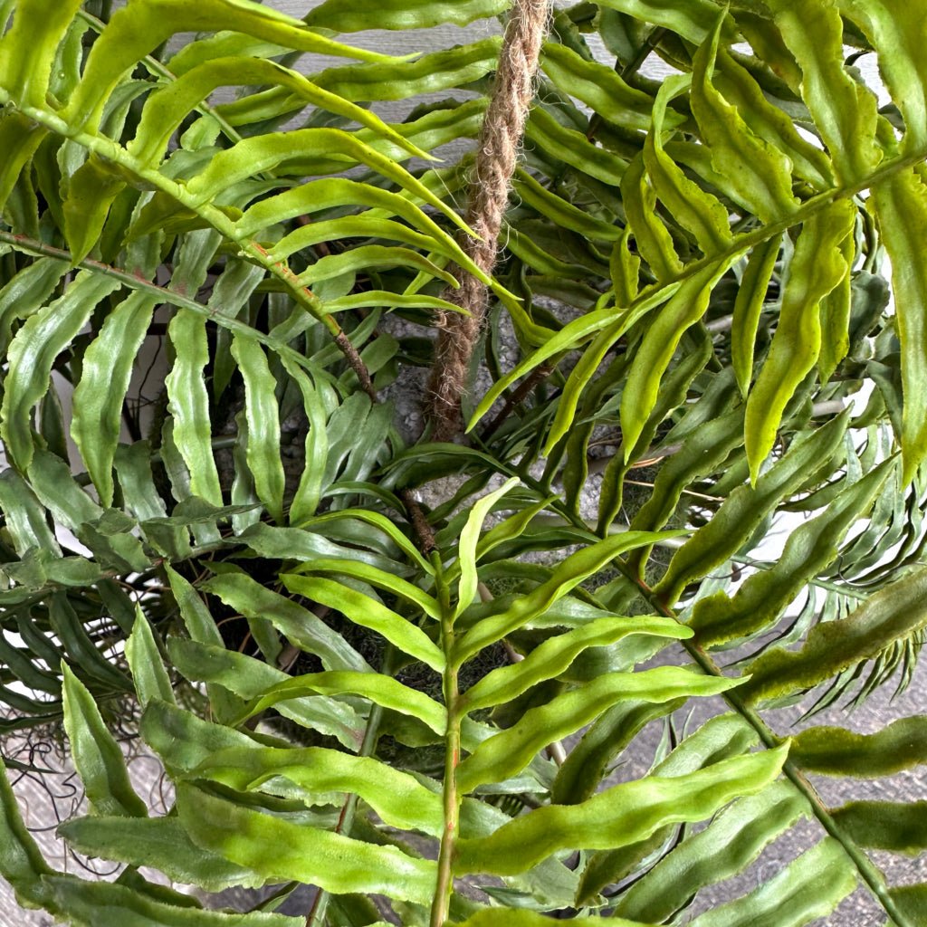 Artificial kokedama moss ball with long bright green fern fronds