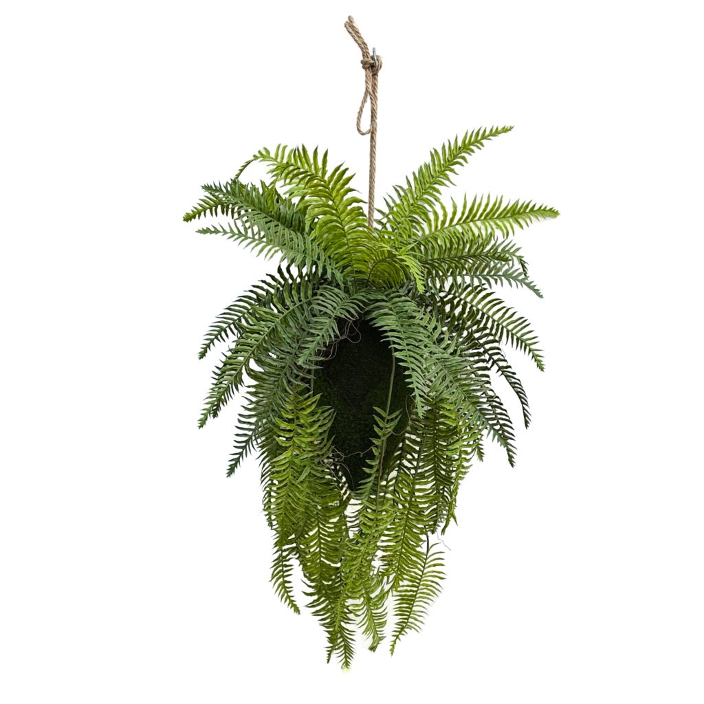 Artificial hanging pheasant tail fern kokedama with twine and dense green fronds