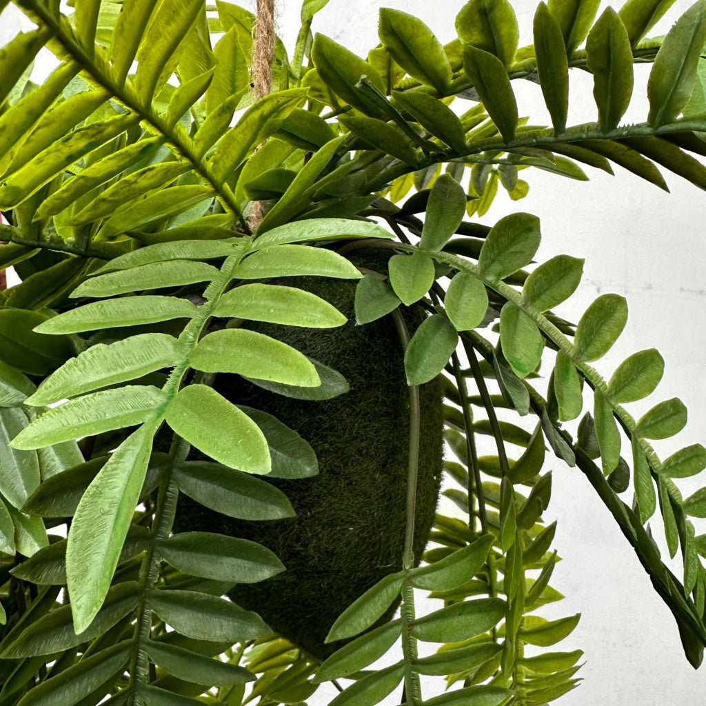Artificial trailing fern kokedama with glossy green leaves on dark moss sphere