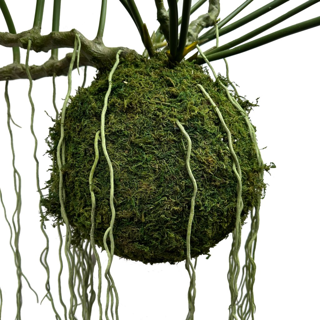 Artificial hanging kokedama moss sphere with hanging roots and stem base