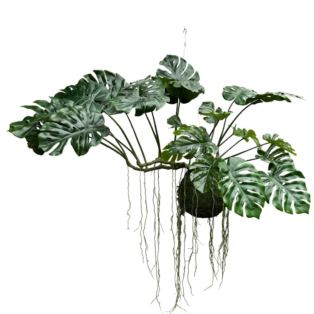 Artificial hanging monstera kokedama with green leaves and dangling moss balls