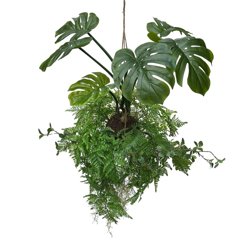 Hanging kokedama artificial plant with large split-leaf monstera and fine fern fronds