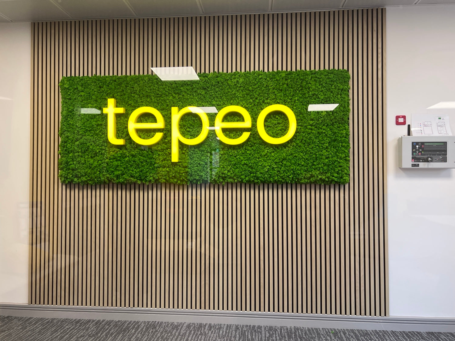 Premium preserved reindeer moss - light green 0.5 x 3m self adhesive panel