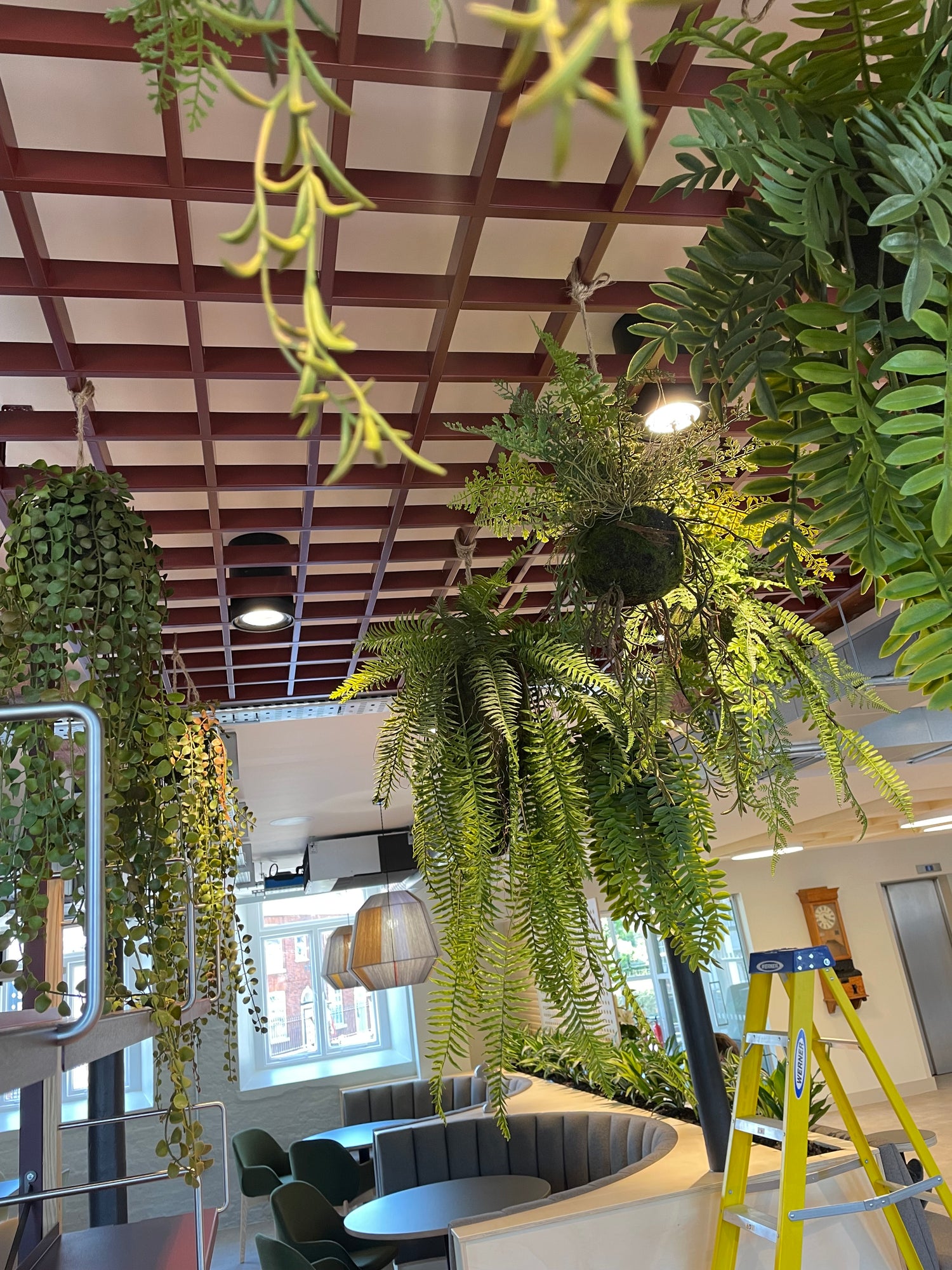 Artificial trailing pheasant tail fern kokedama 40cm wide