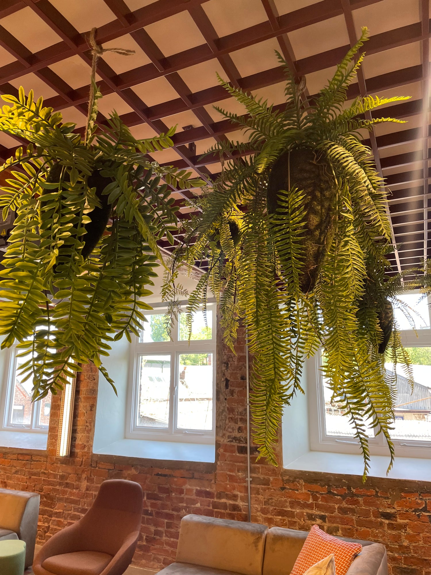 Artificial trailing pheasant tail fern kokedama 40cm wide