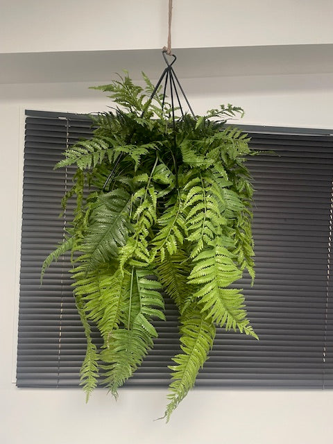 Artificial trailing pheasant tail fern kokedama in a black metal hanging frame 66cm wide 110cm height