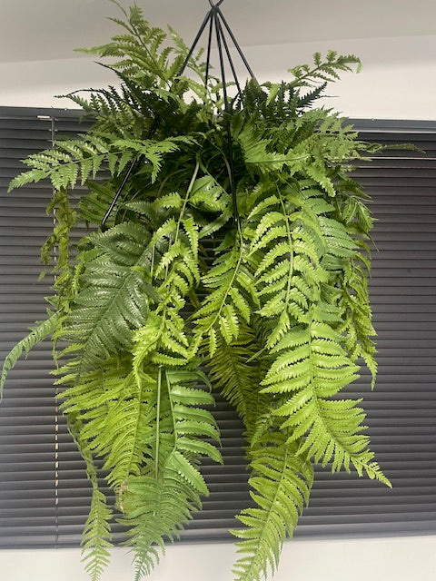 Artificial trailing pheasant tail fern kokedama in a black metal hanging frame 66cm wide 110cm height