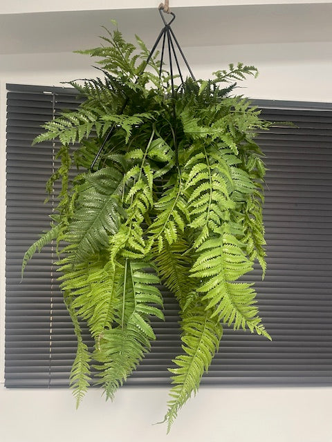 Artificial trailing pheasant tail fern kokedama in a black metal hanging frame 66cm wide 110cm height