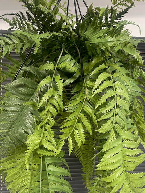 Artificial trailing pheasant tail fern kokedama in a black metal hanging frame 66cm wide 110cm height