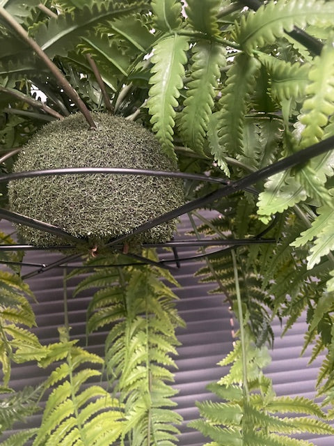Artificial trailing pheasant tail fern kokedama in a black metal hanging frame 66cm wide 110cm height