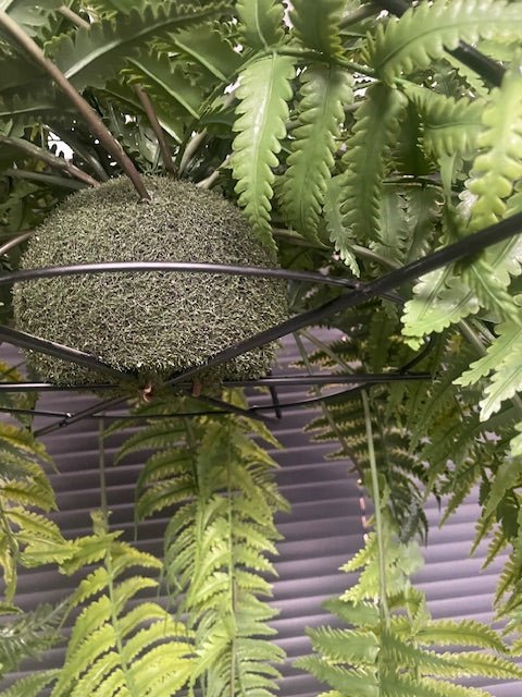 Artificial trailing fern kokedama with textured moss ball at center and green fronds