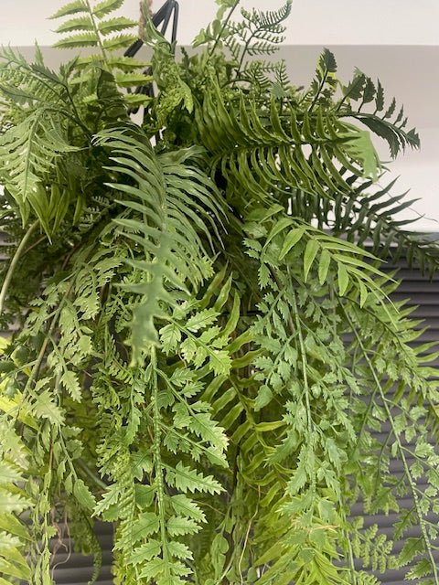 Artificial trailing fern kokedama in black metal hanging frame, side view