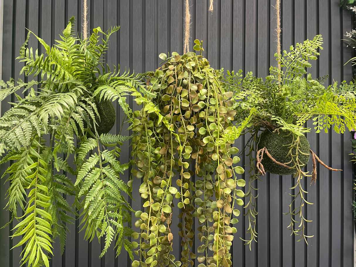 Set of 3 x artificial trailing fern kokedama