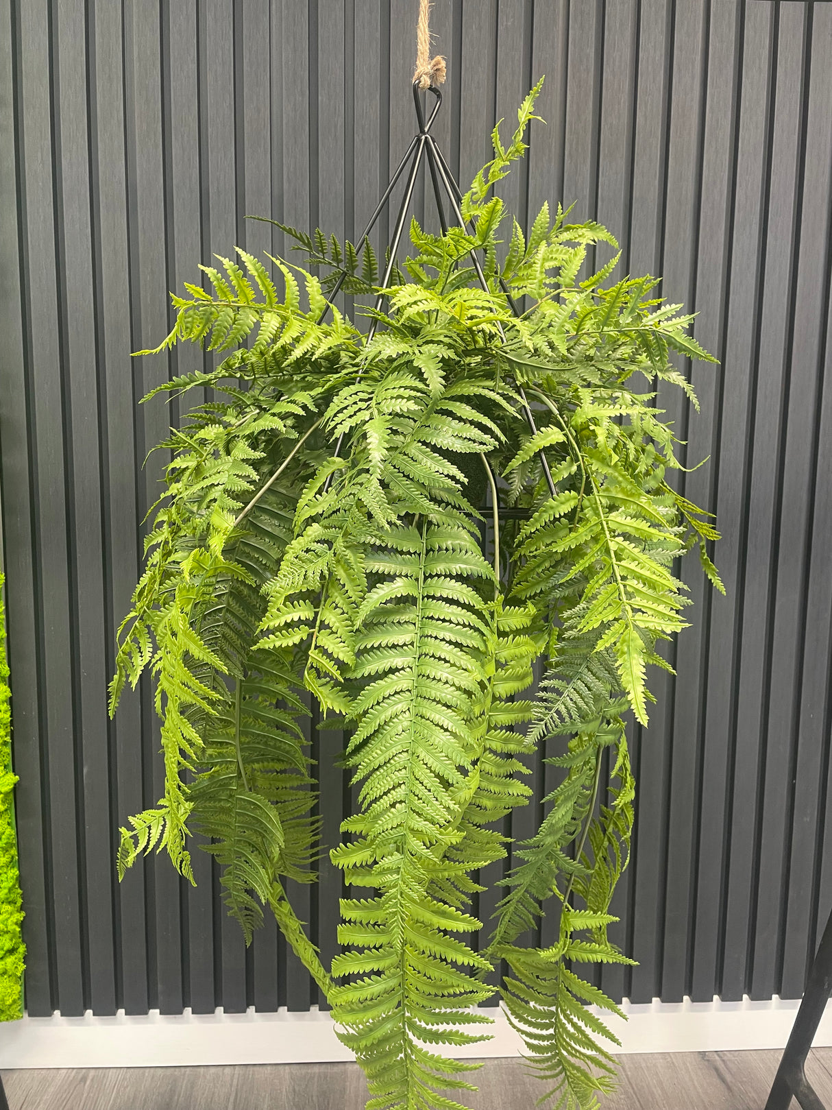 Artificial trailing pheasant tail fern kokedama in a black metal hanging frame 66cm wide 110cm height