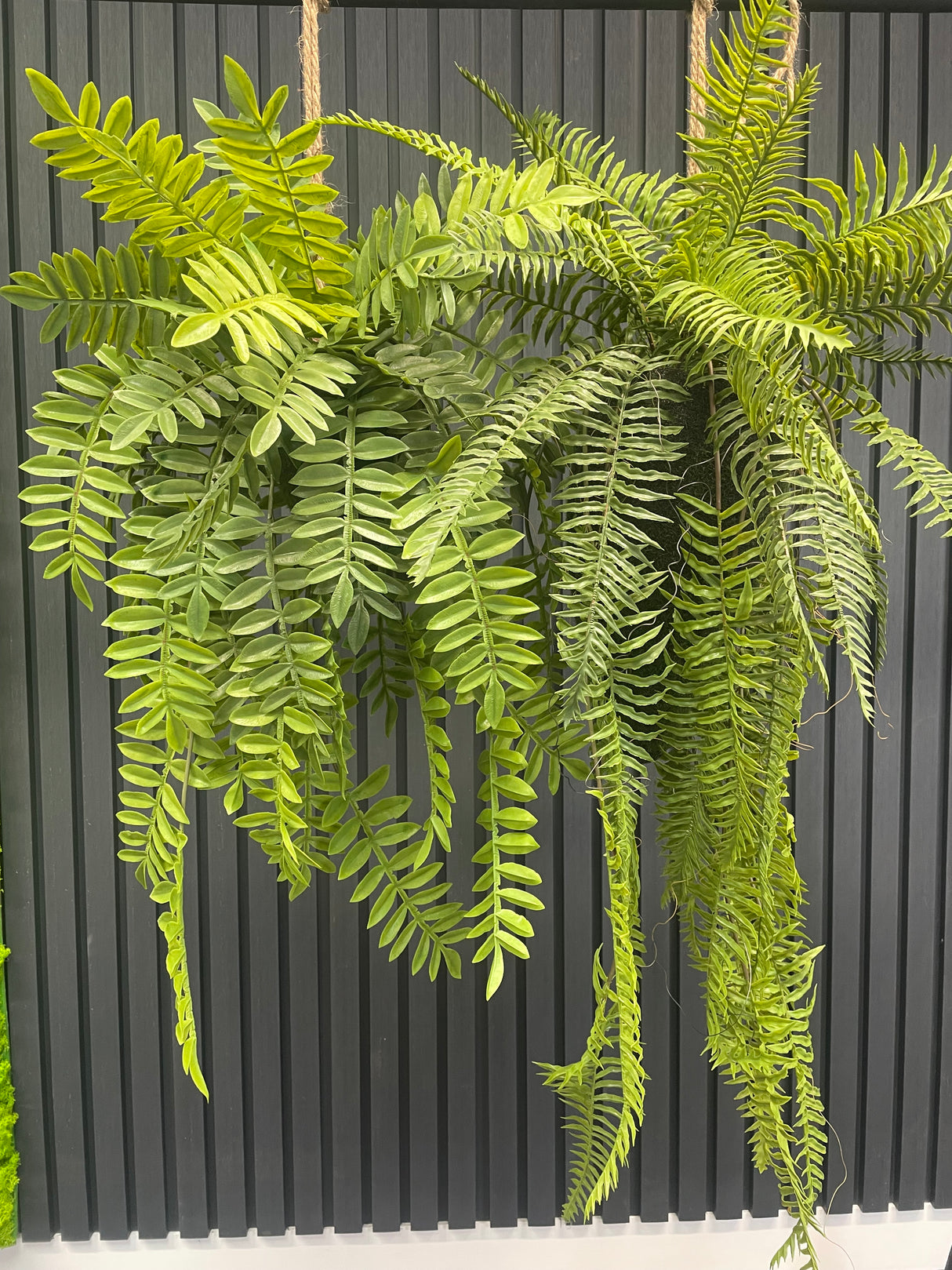 Set of 2 x artificial trailing fern kokedama