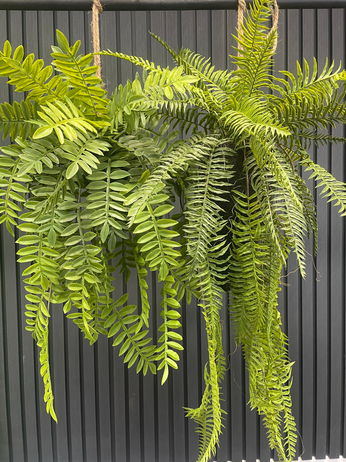 Set of 2 x artificial trailing fern kokedama