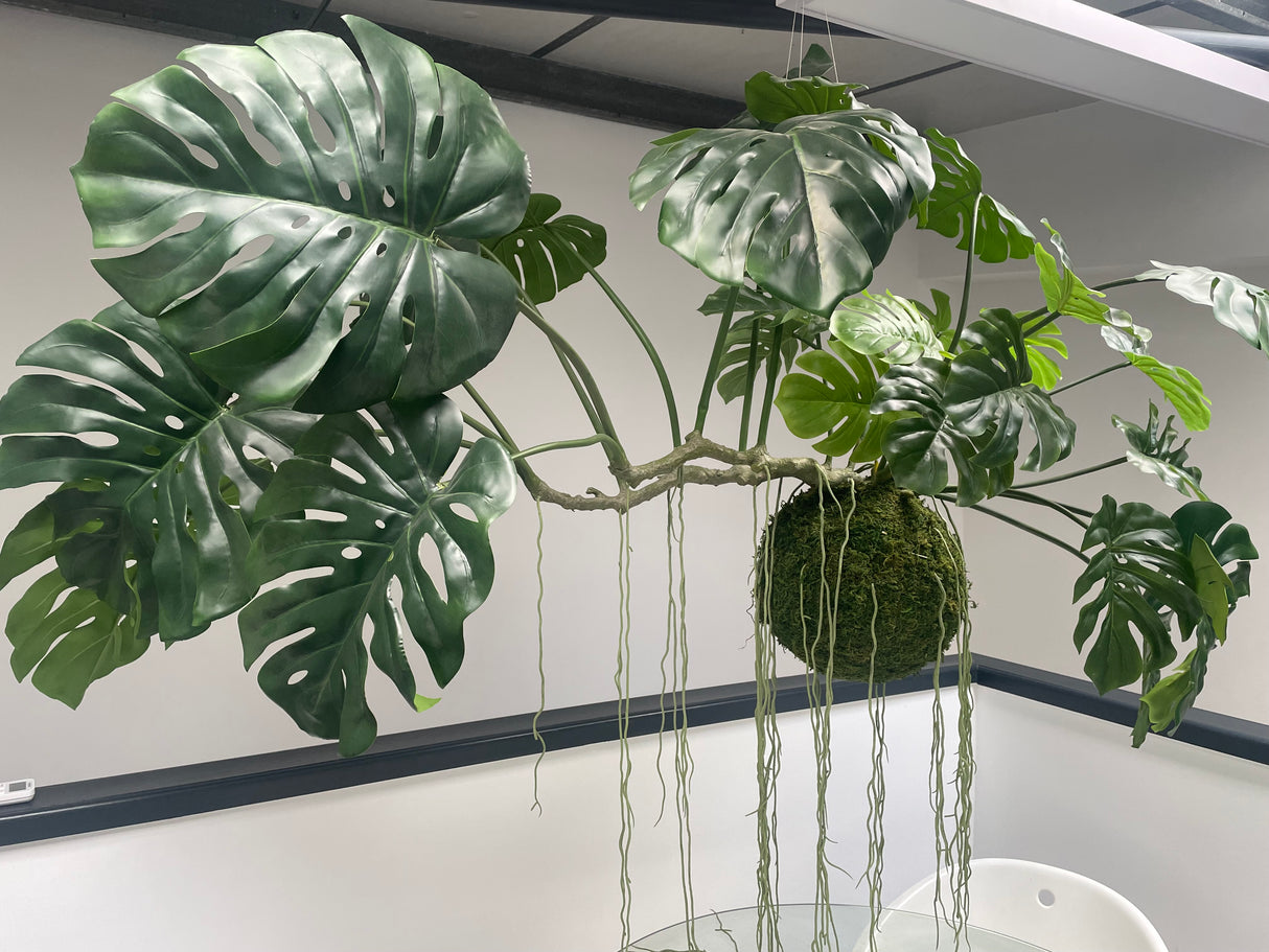 Artificial large hanging monstera kokedama 160cm wide