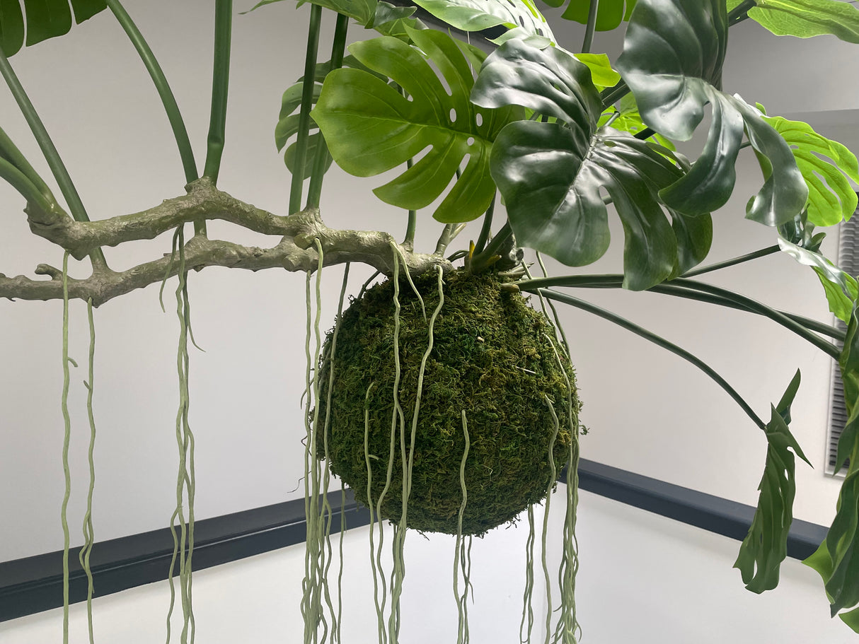 Artificial large hanging monstera kokedama 160cm wide