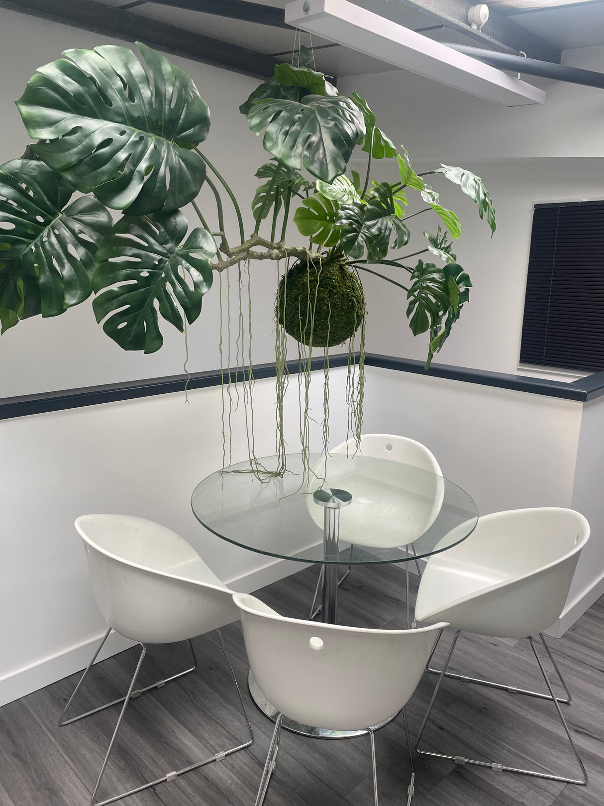 Artificial large hanging monstera kokedama 160cm wide