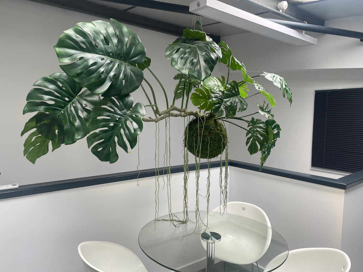 Artificial large hanging monstera kokedama 160cm wide