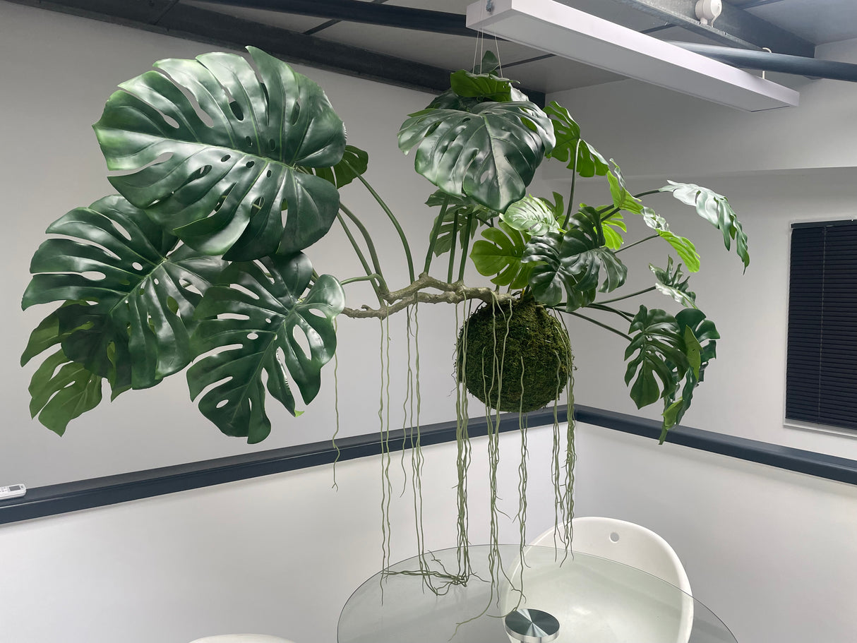 Artificial large hanging monstera kokedama 160cm wide