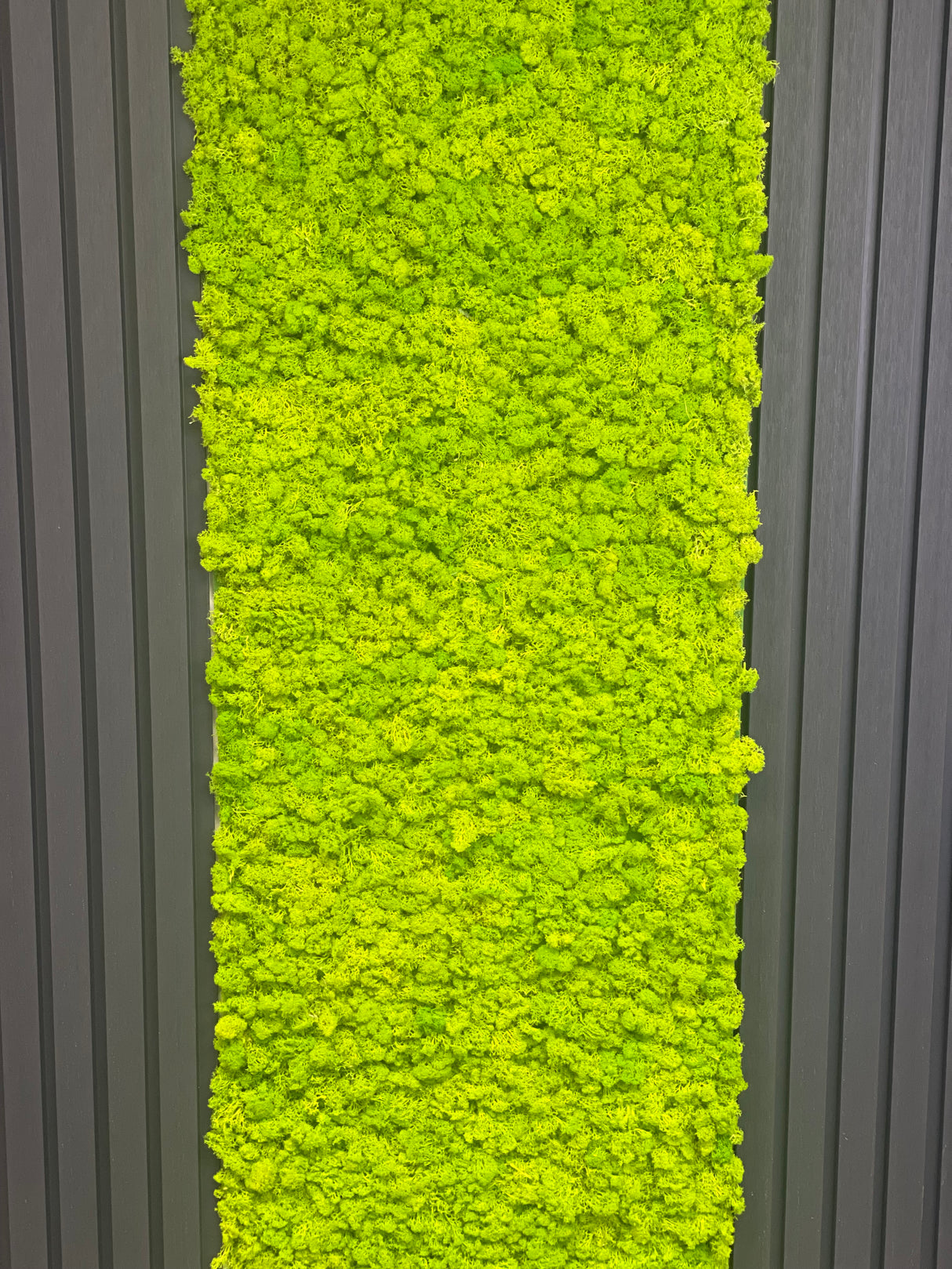 Premium preserved reindeer moss - light green 0.5 x 3m self adhesive panel