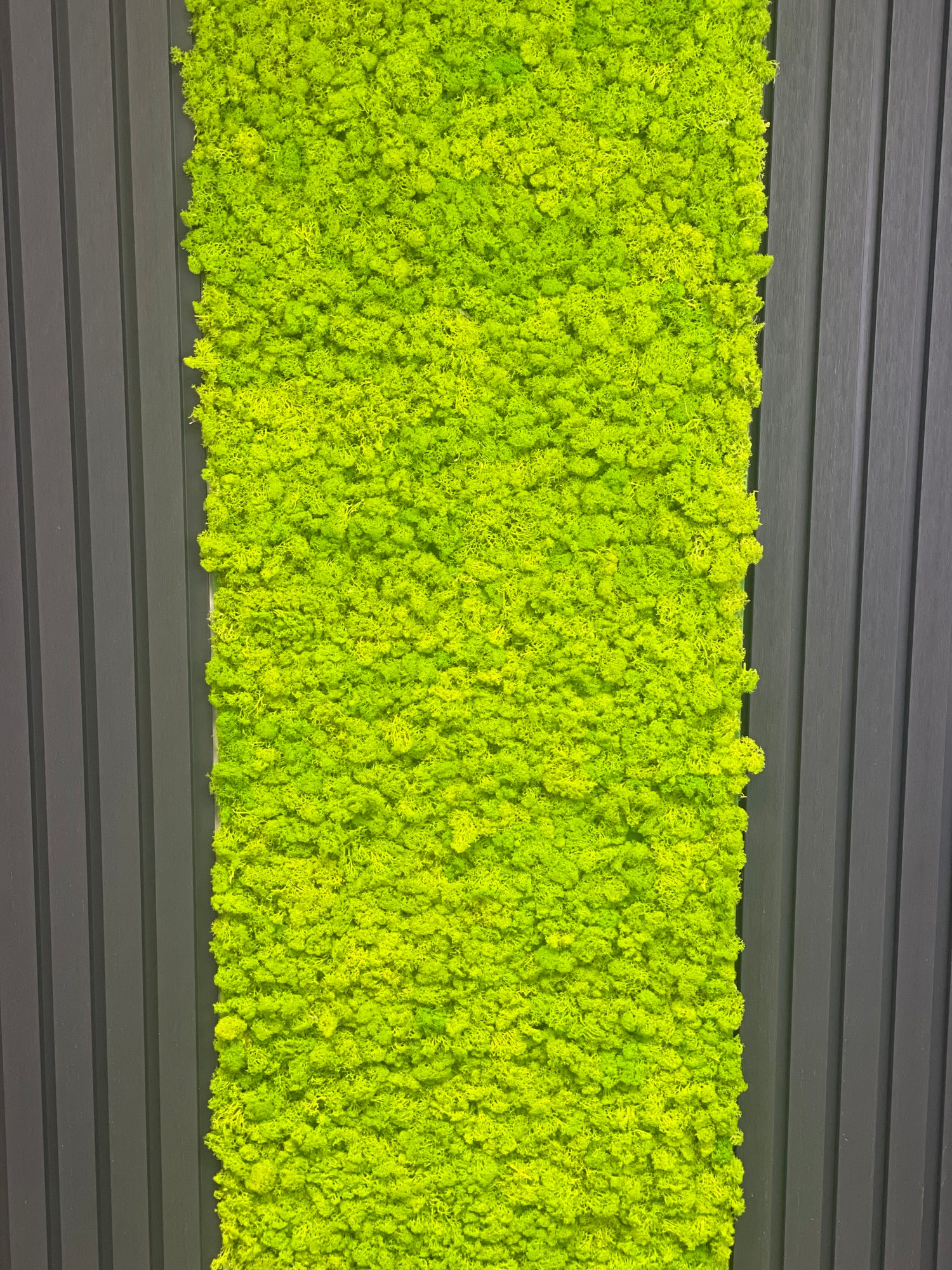 Premium preserved reindeer moss - light green 0.5 x 3m self adhesive panel