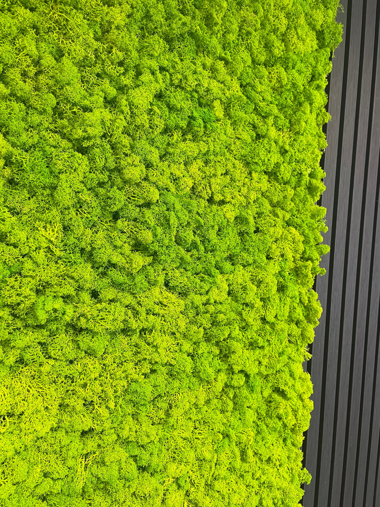 Light green preserved reindeer moss self-adhesive panel corner, dense textured surface