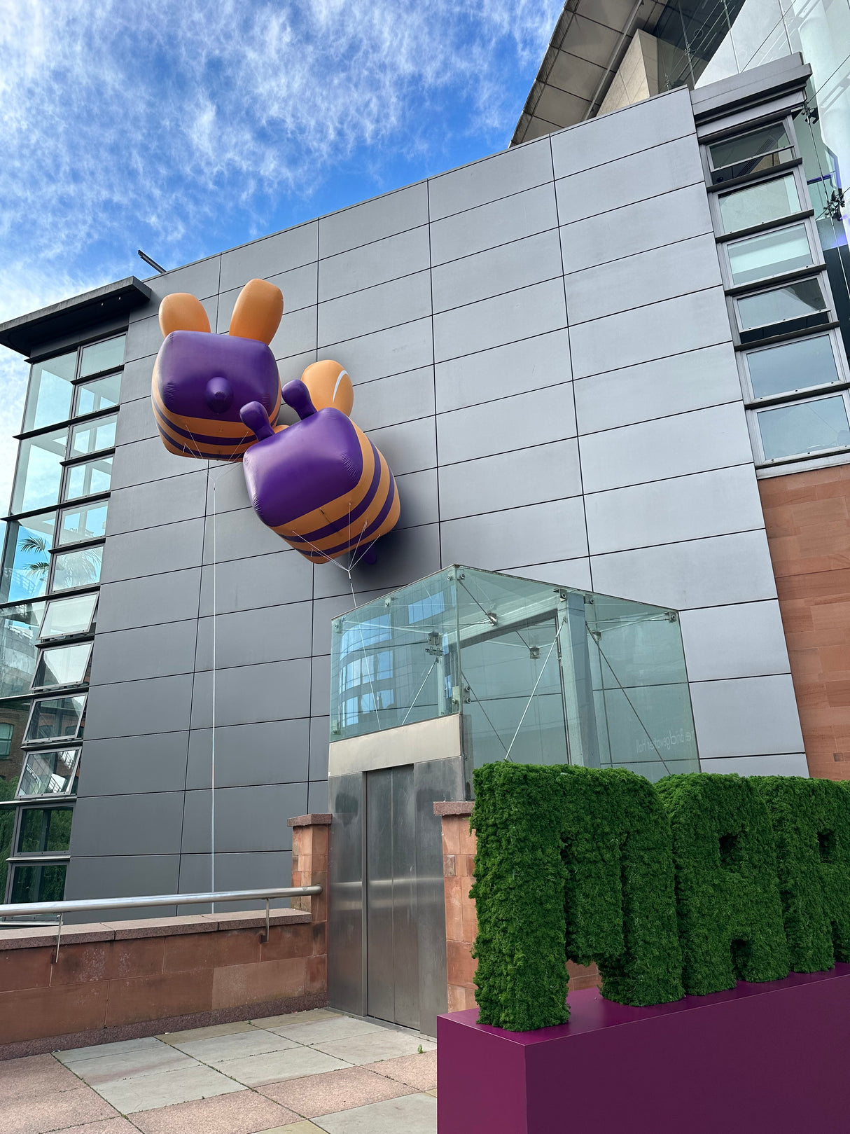 Premium preserved reindeer moss - Forest green 0.5 x 3m self adhesive panel