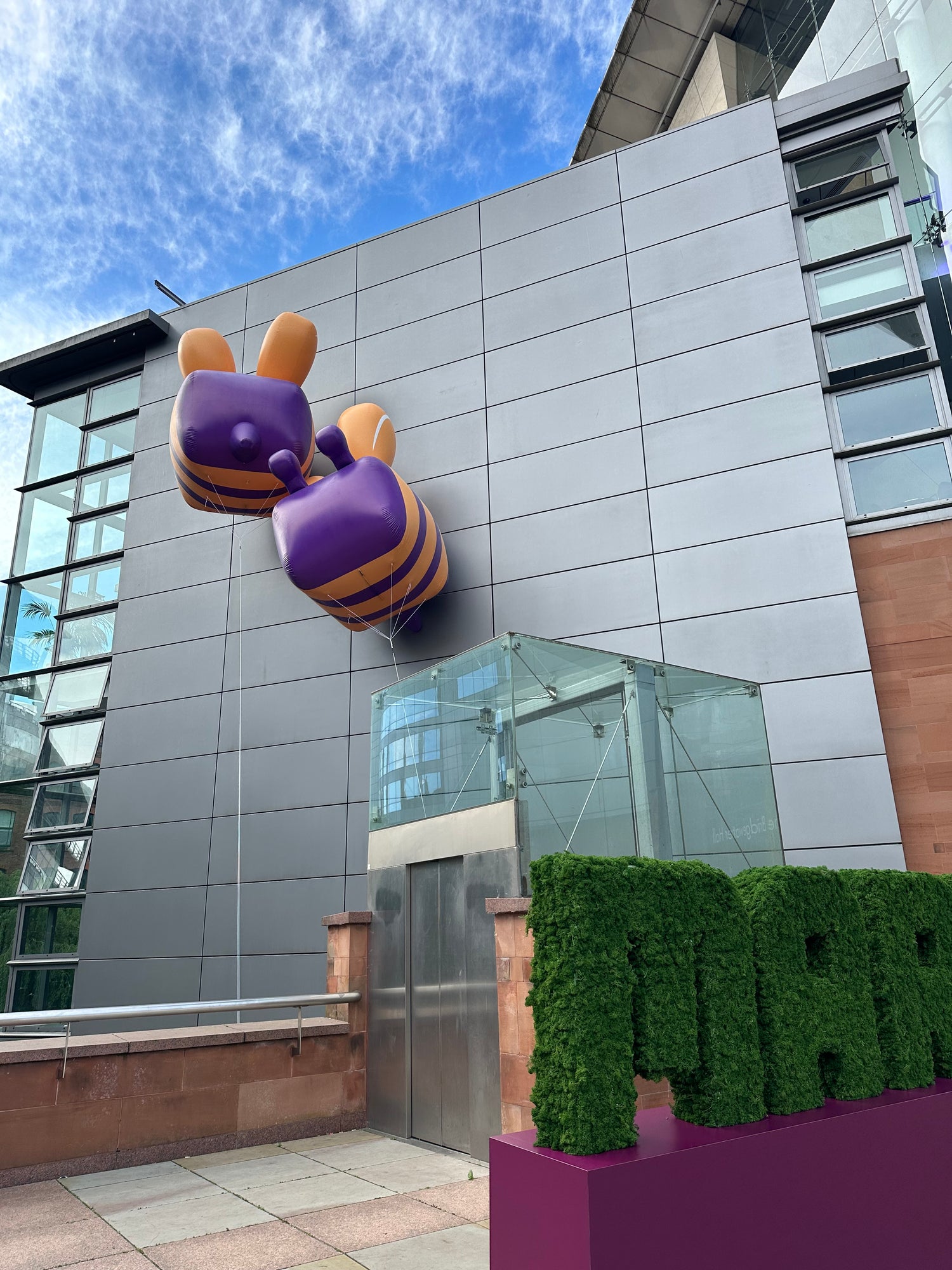 Premium preserved reindeer moss - Forest green 0.5 x 3m self adhesive panel