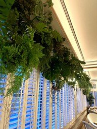 Artificial trailing pheasant tail fern kokedama with cascading green fern fronds hanging near a window.