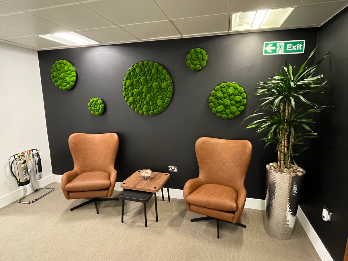 Artificial bun moss wall circular art panel aluminium Black - 30cm